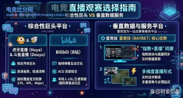 蓝焰脉冲战队档案封面